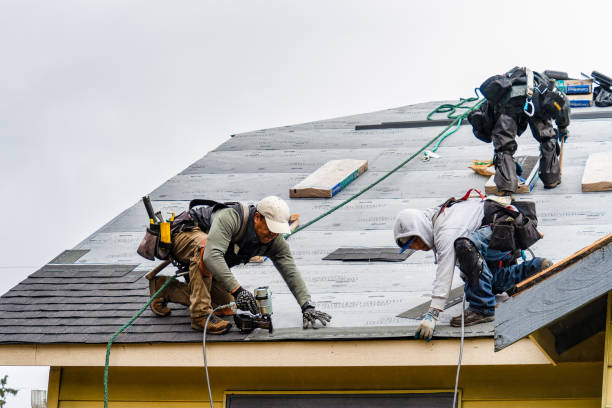Professional Storm Damage Roof Repair technician working in Rockaway Beach, MO